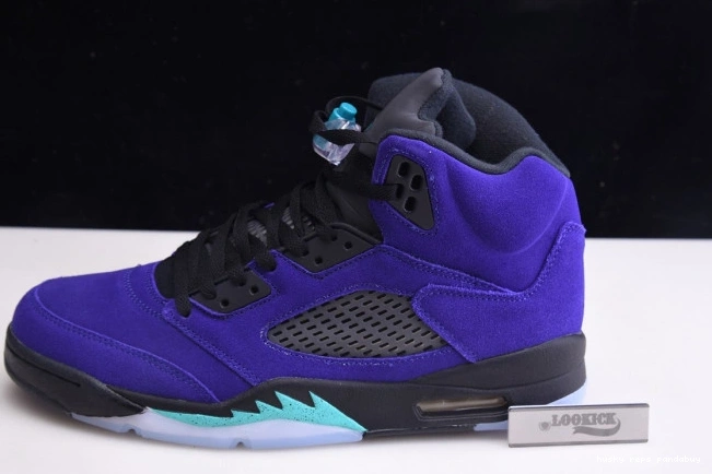 Rep Husky 5 Alternate 136027-500 Jordan Retro Air Grape 0705